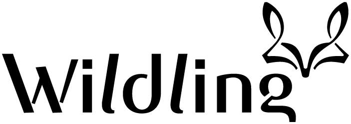 Schlichte Schuhe