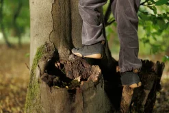 Mispel>Wildling Shoes New